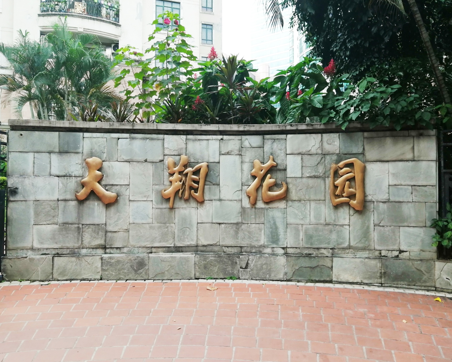 图片1